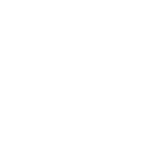 Damien Paul Dong monogram logo